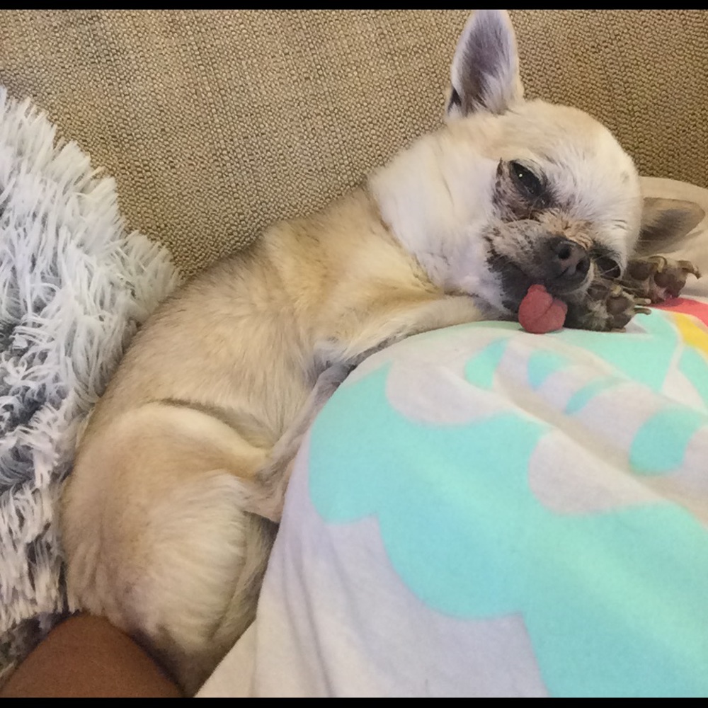 Meet your Posher, Maria